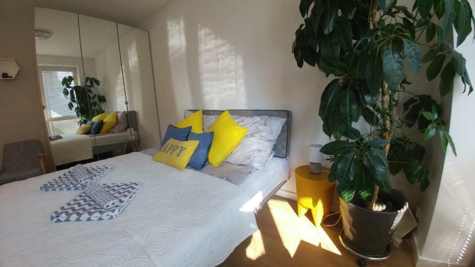 Apartament Centrum أوغستوف المظهر الخارجي الصورة